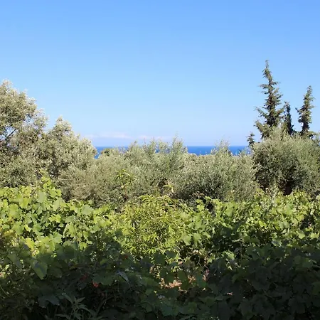 Jorgos 2 * Koroni (Messinia)
